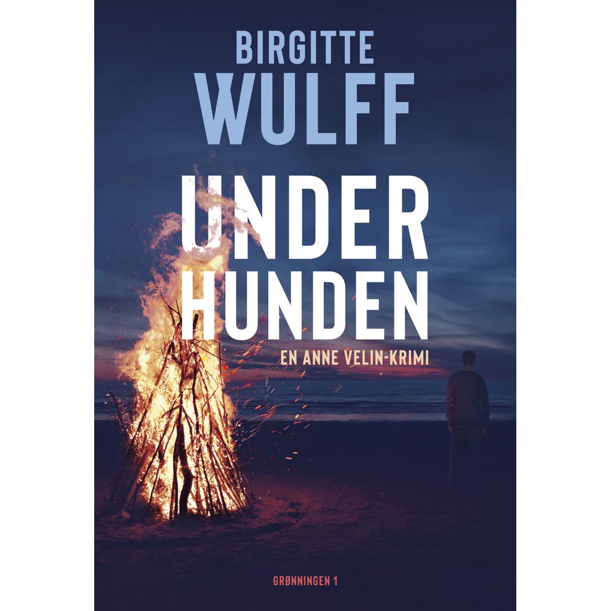 Underhunden - Birgitte Wulff - Bog