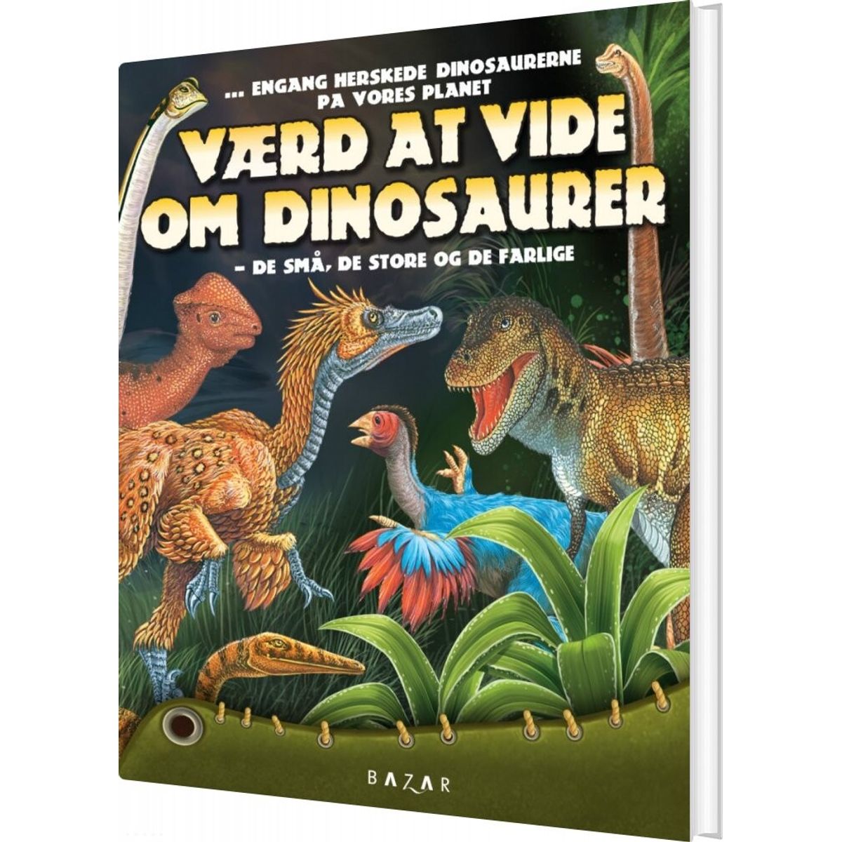 Værd At Vide Om Dinosaurer - Forlaget Bazar - Bog