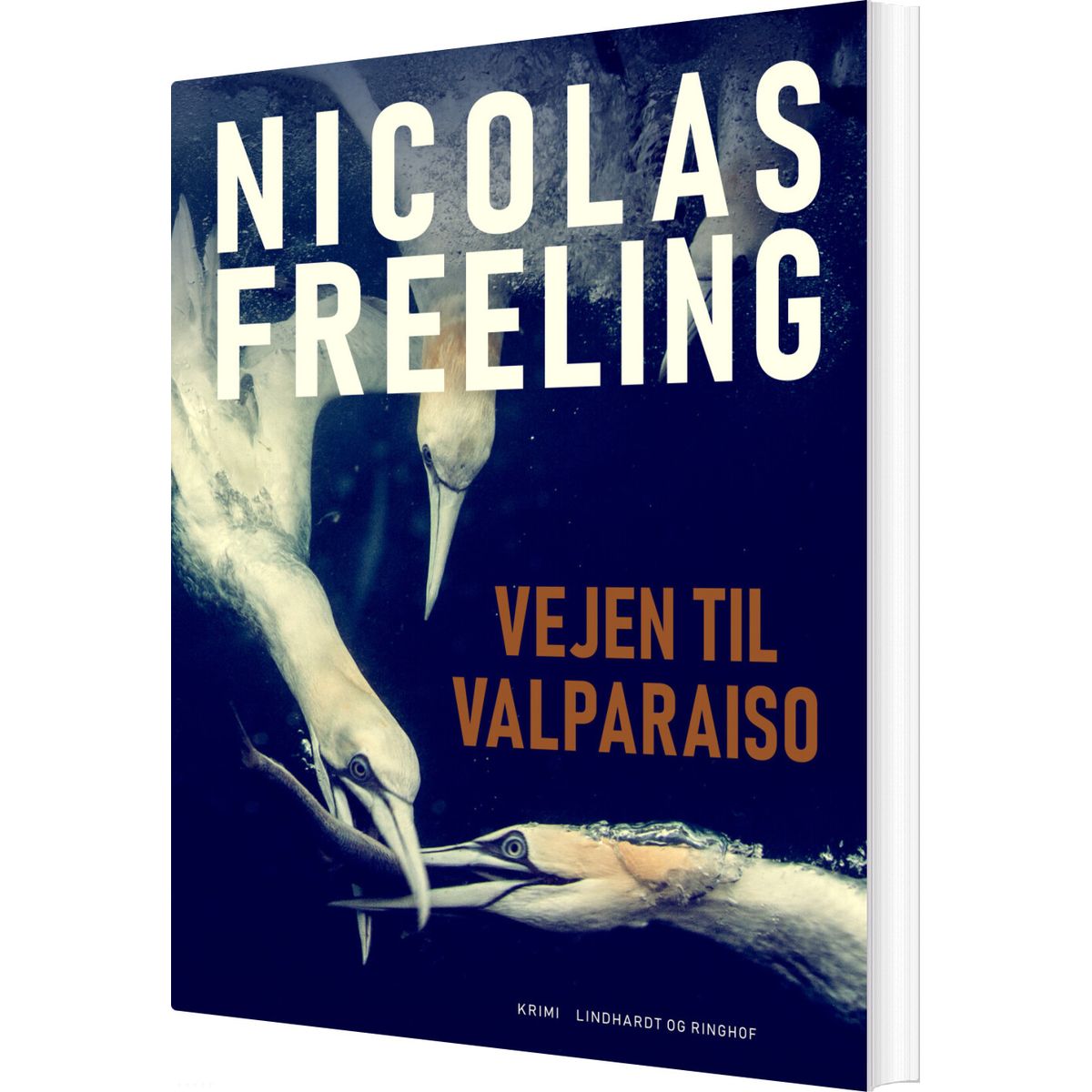 Vejen Til Valparaiso - Nicolas Freeling - Bog