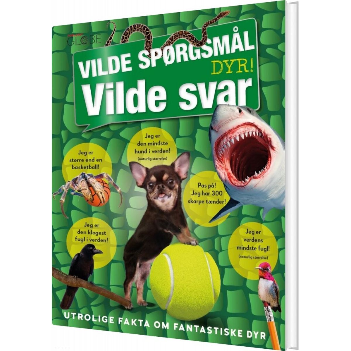 Vilde Spørgsmål Vilde Svar - Dyr - Bog