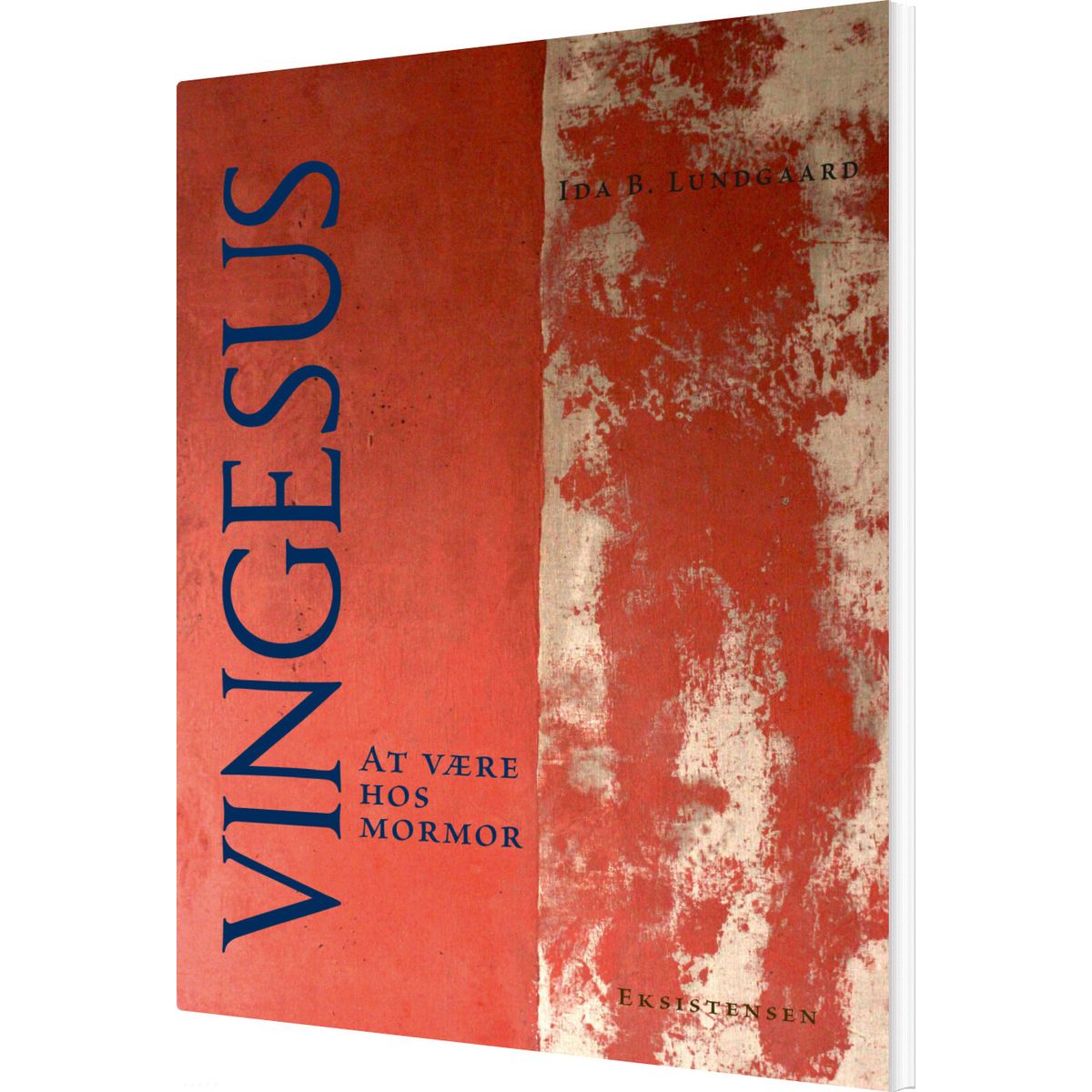 Vingesus - Ida B. Lundgaard - Bog