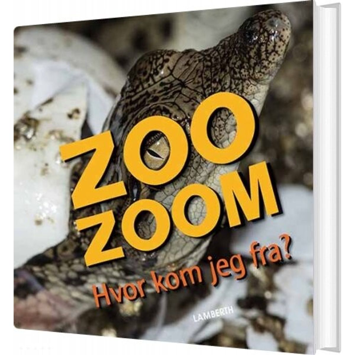 Zoo-zoom - Hvor Kom Jeg Fra? - Christa Pöppelmann - Bog