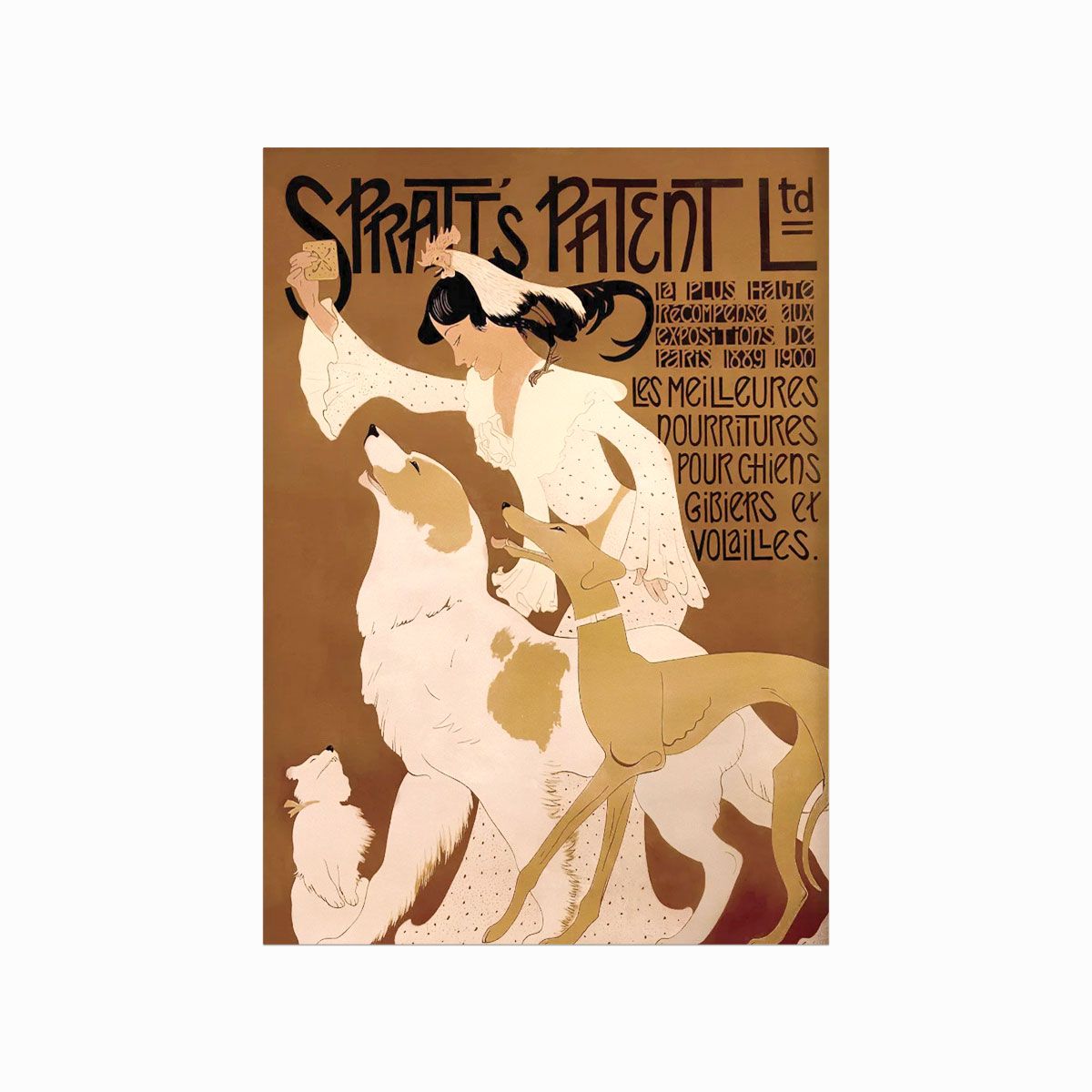 Vintage plakat Spratt's Patent Ltd