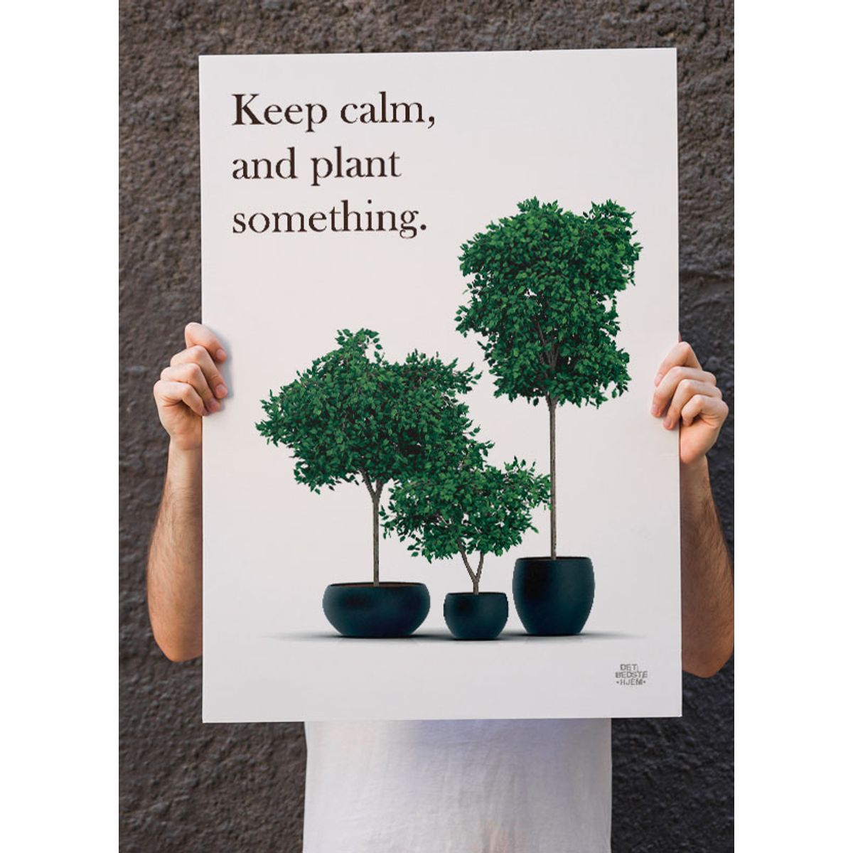 Haveplakater Plant something - 50 x 70 cm - Kr. 279,-