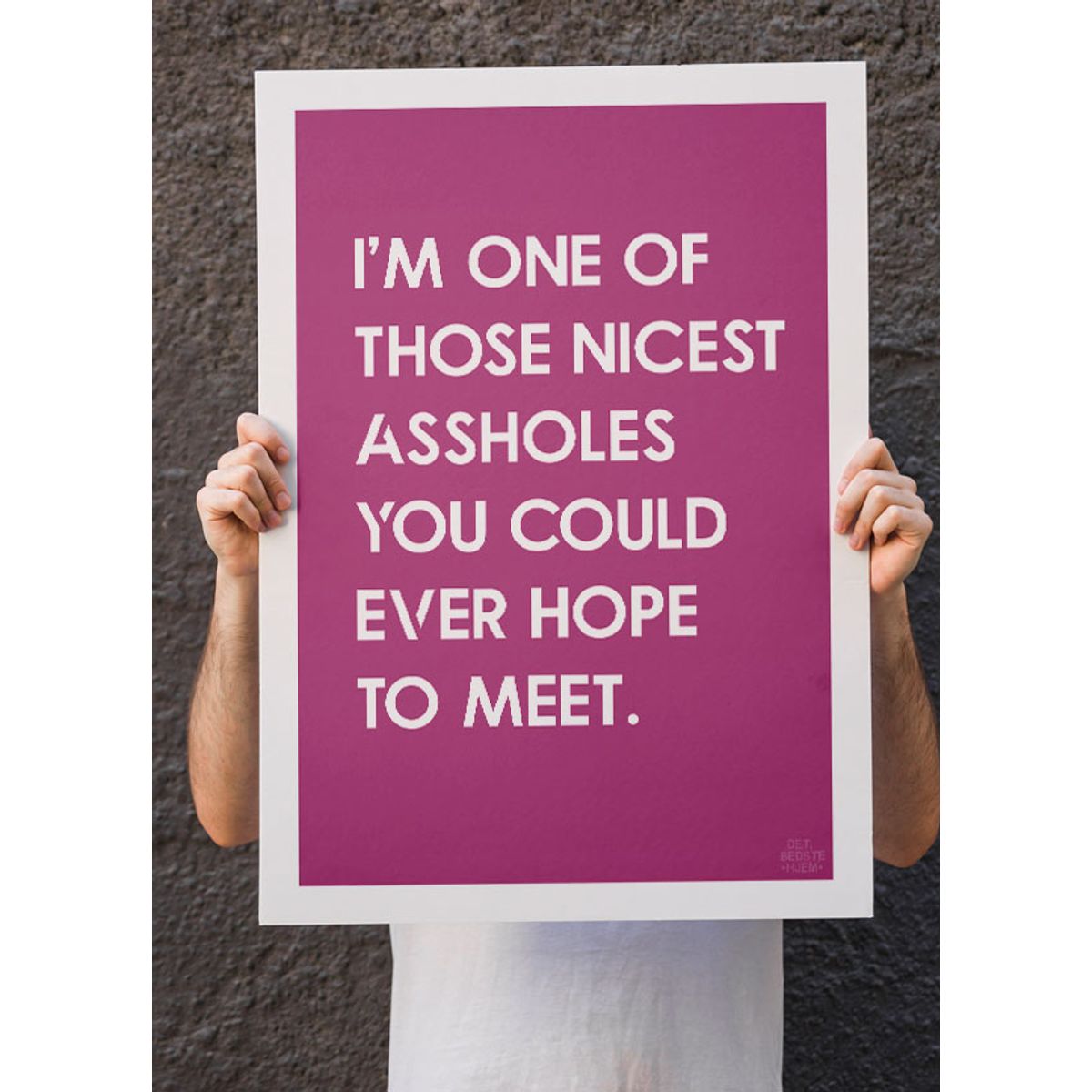 Nice asshole-plakat (pink) - 21 x 29,7 (A4) Kr. 199,-