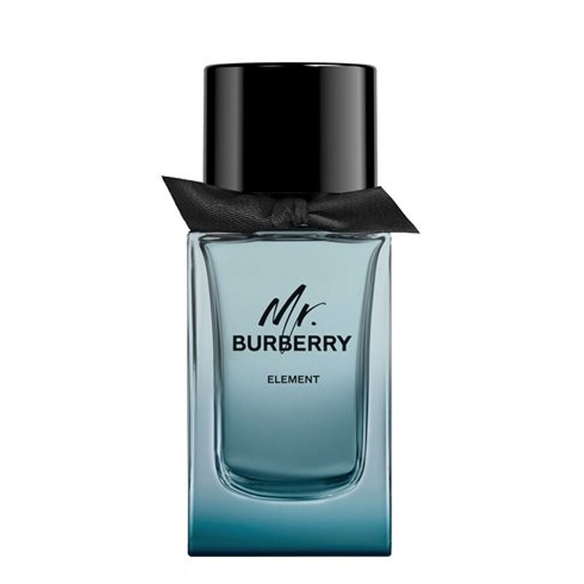 Burberry Mr Burberry Element Eau de toilette 100 ml