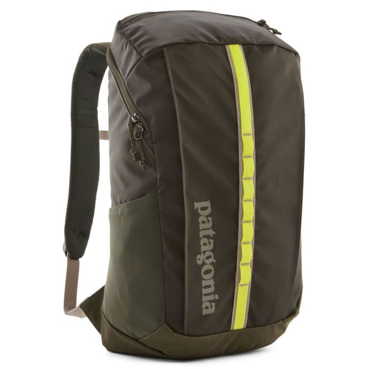 Patagonia Black Hole Pack 25L Pine Needle Green