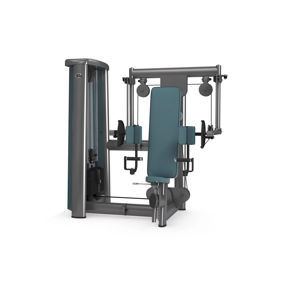 gym80 Sygnum Dual Curler Machine