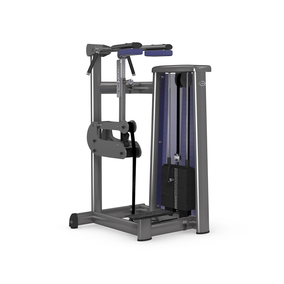 gym80 Sygnum Standing Calf