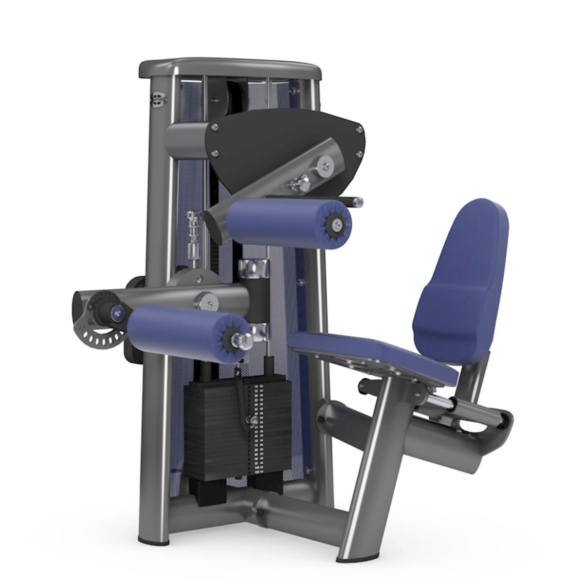 gym80 Sygnum Seated Leg Curl