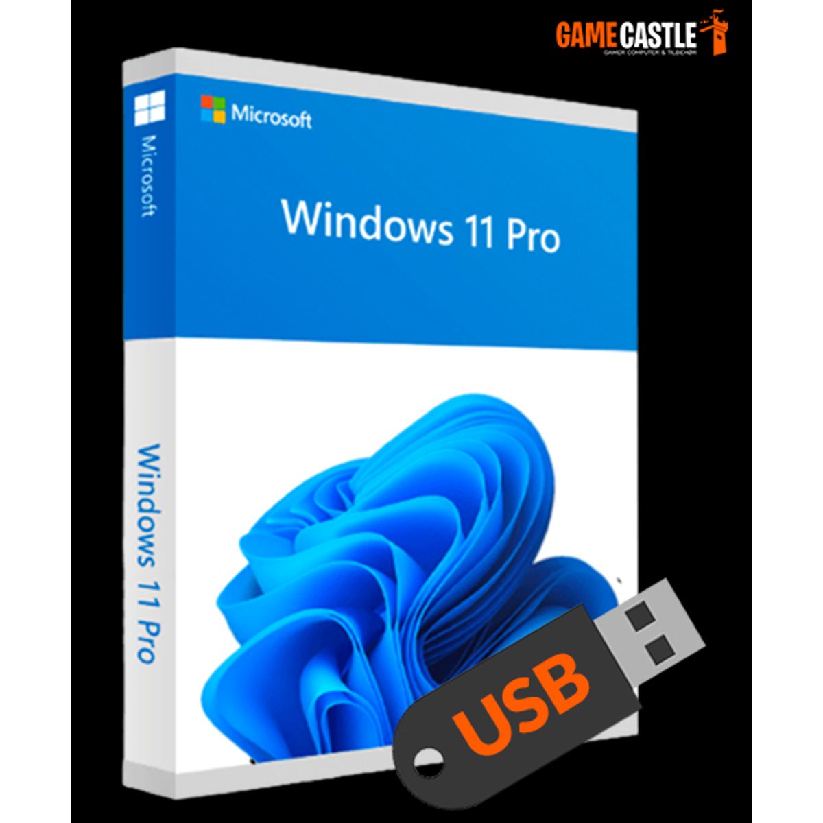 Windows 11 Professional USB uden licens