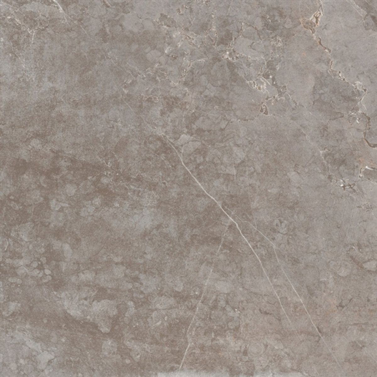 US Evostone - Natural (60 x 60)