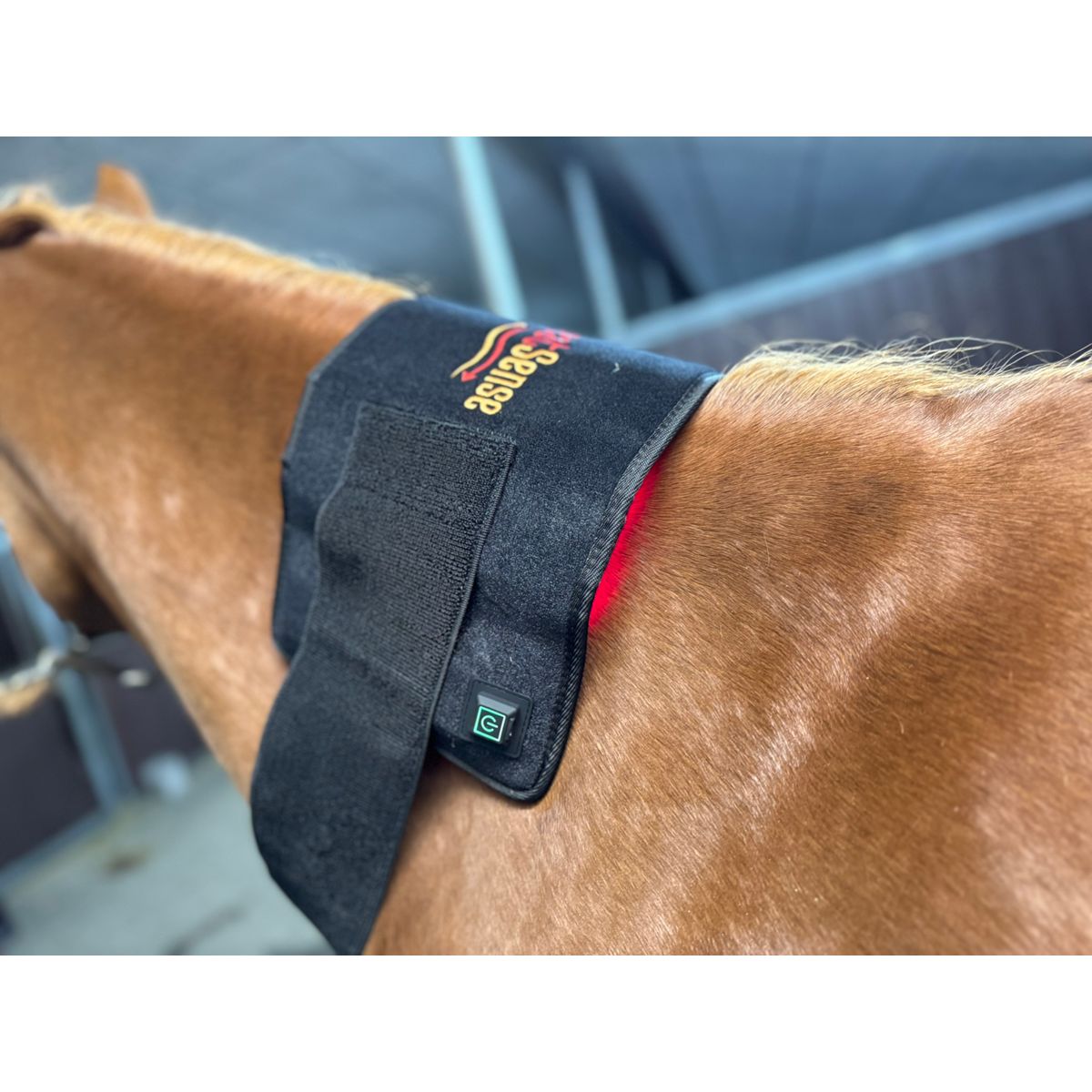 Rød lys terapi pad til hest – Heat Sense Horse - Red light therapy