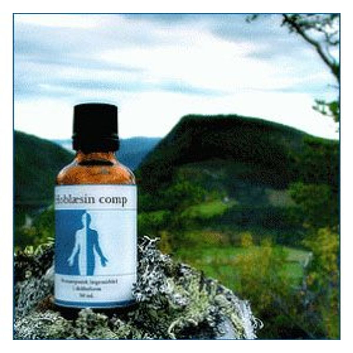 Holistica-Medica Hoblæsin comp. &bull; 50ml.