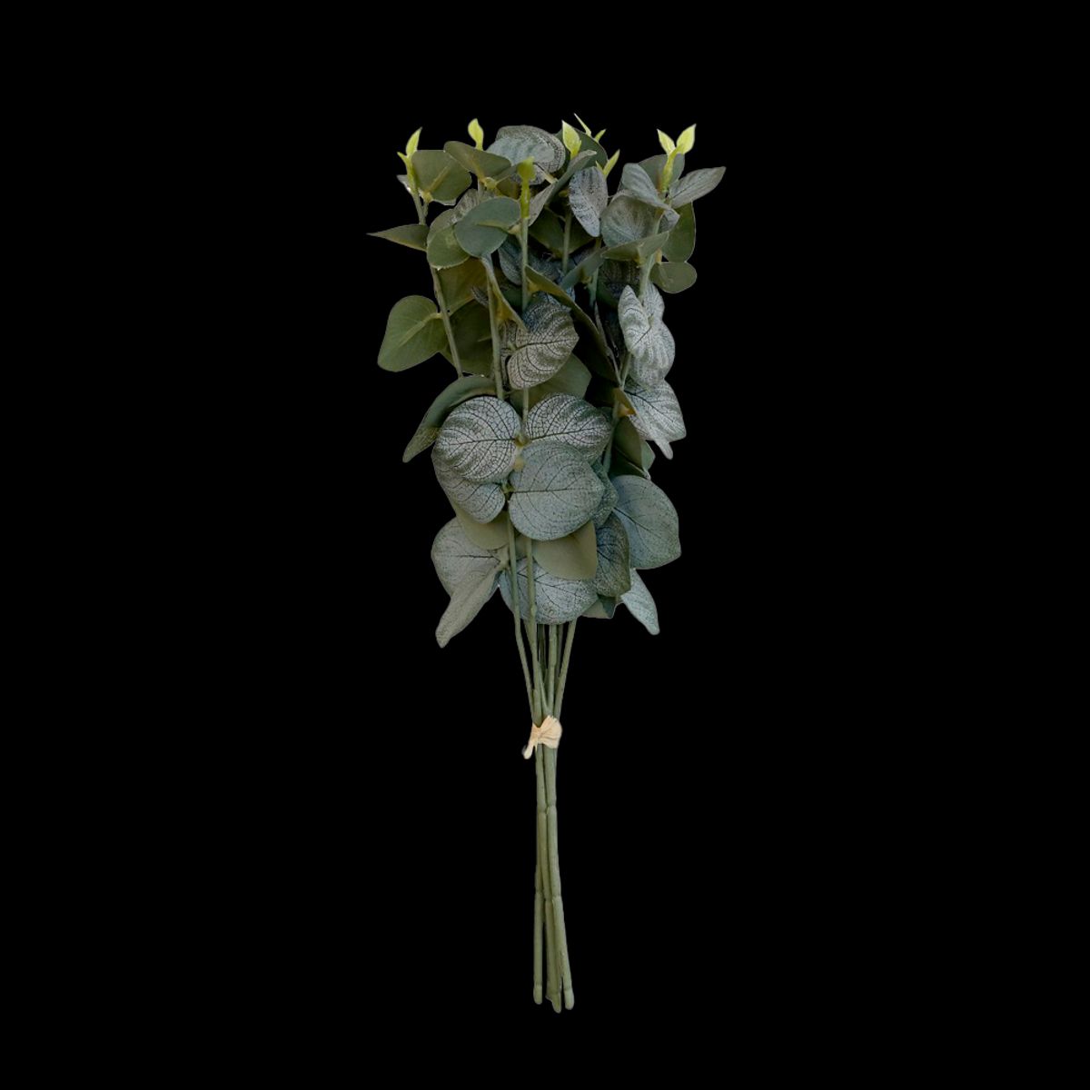 FLEUR Eucalyptus bouquet