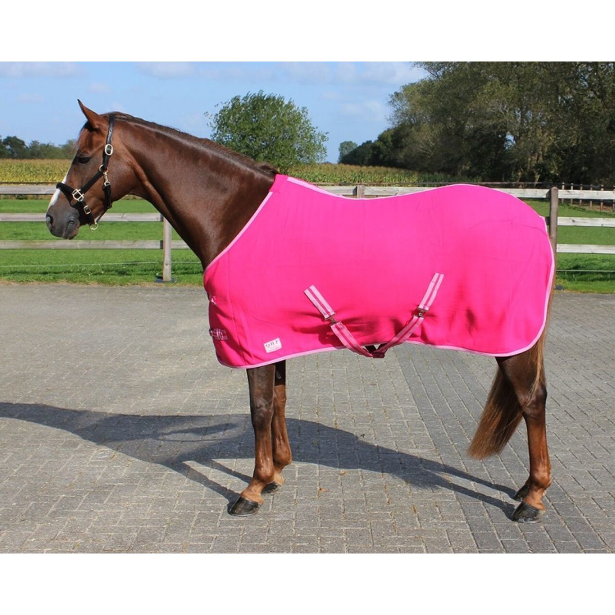 QHP Fleece dækken | Pink