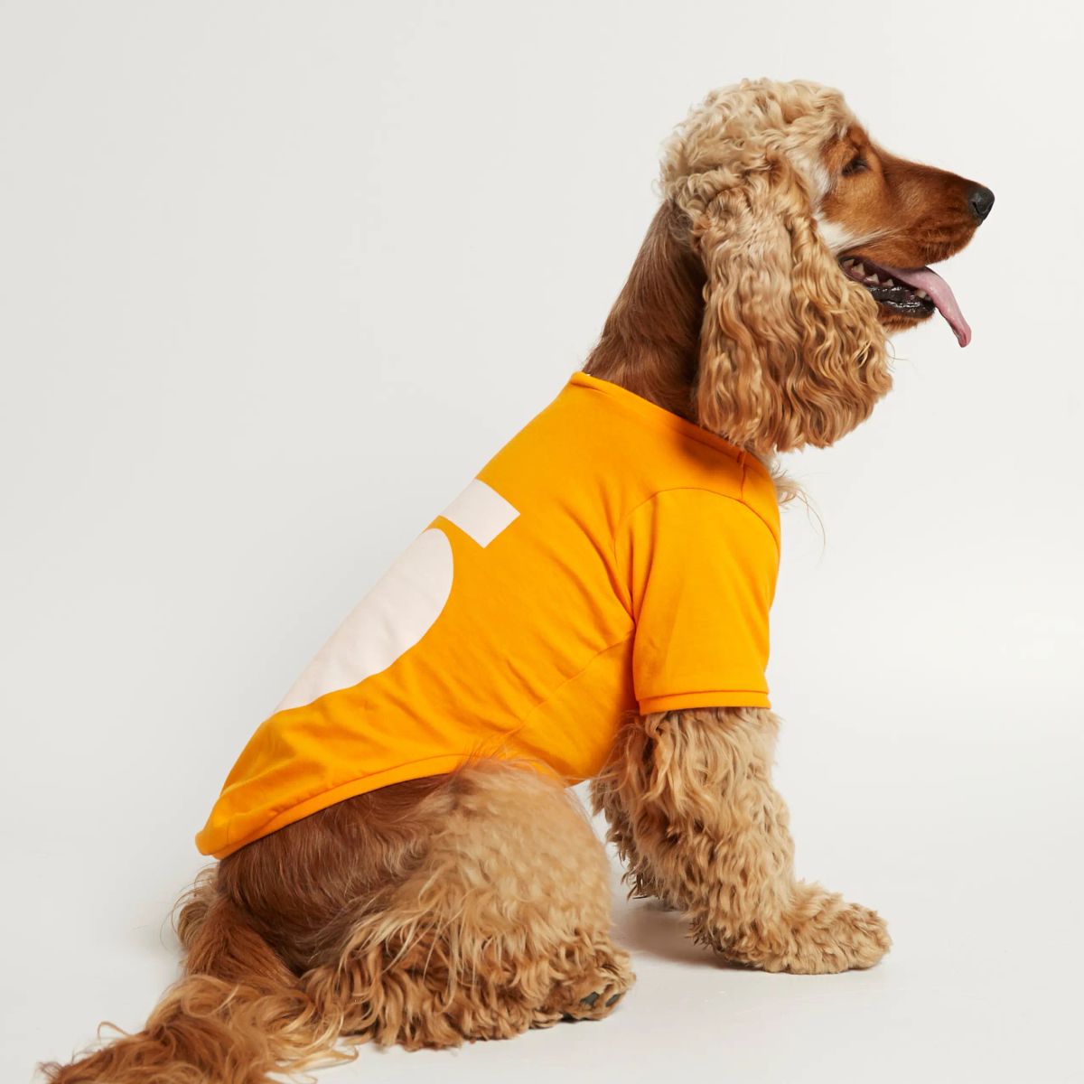 Imi T-shirt // Hundetrøje med ærmer i økologisk bomuld (orange) - L