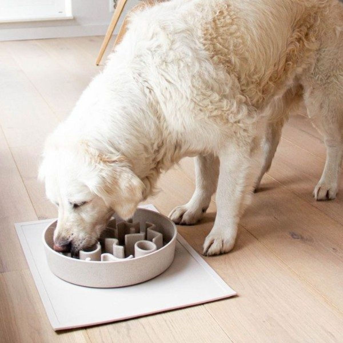 Eat slow // Spis-langsomt hundeskål til hunde (beige) - L