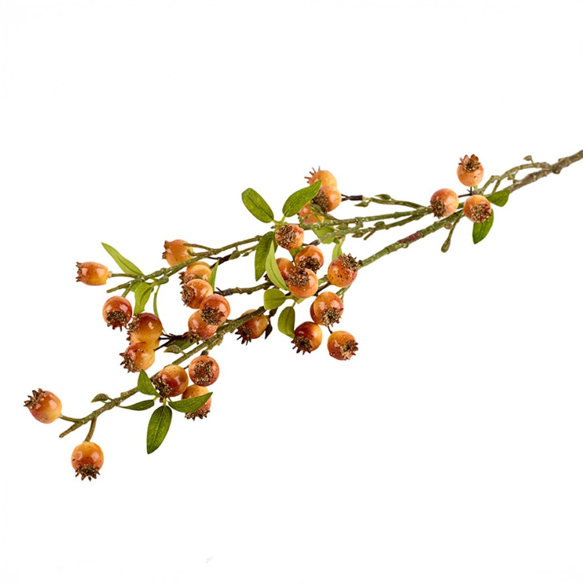 2Have Silkeblomst - Hyben - 85cm