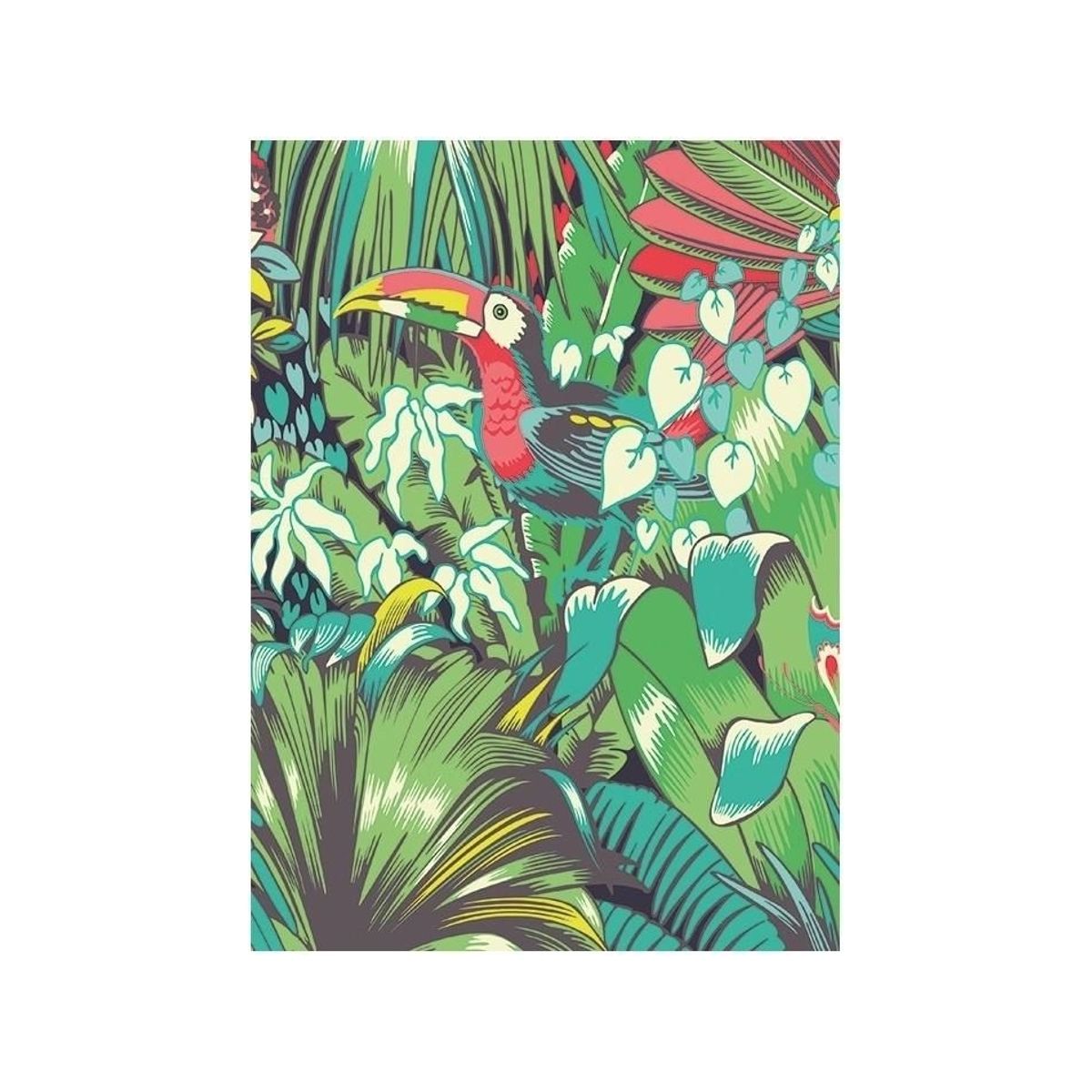 Museums & Galleries Pass B6 With Toucan Envelope