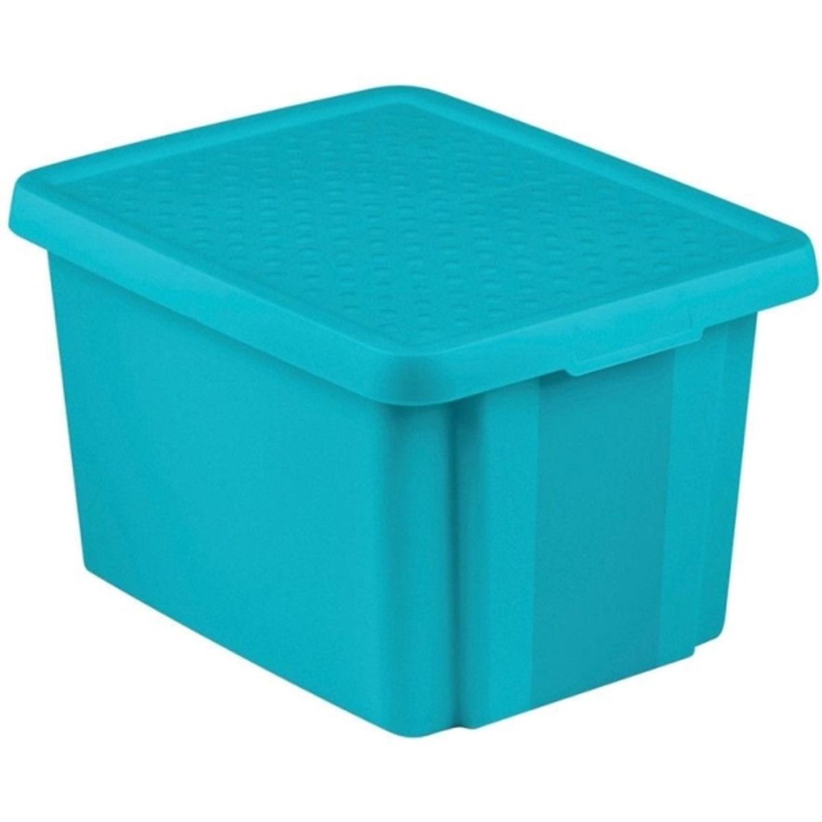 Storageboxcurver 26L+Lid Blue 656