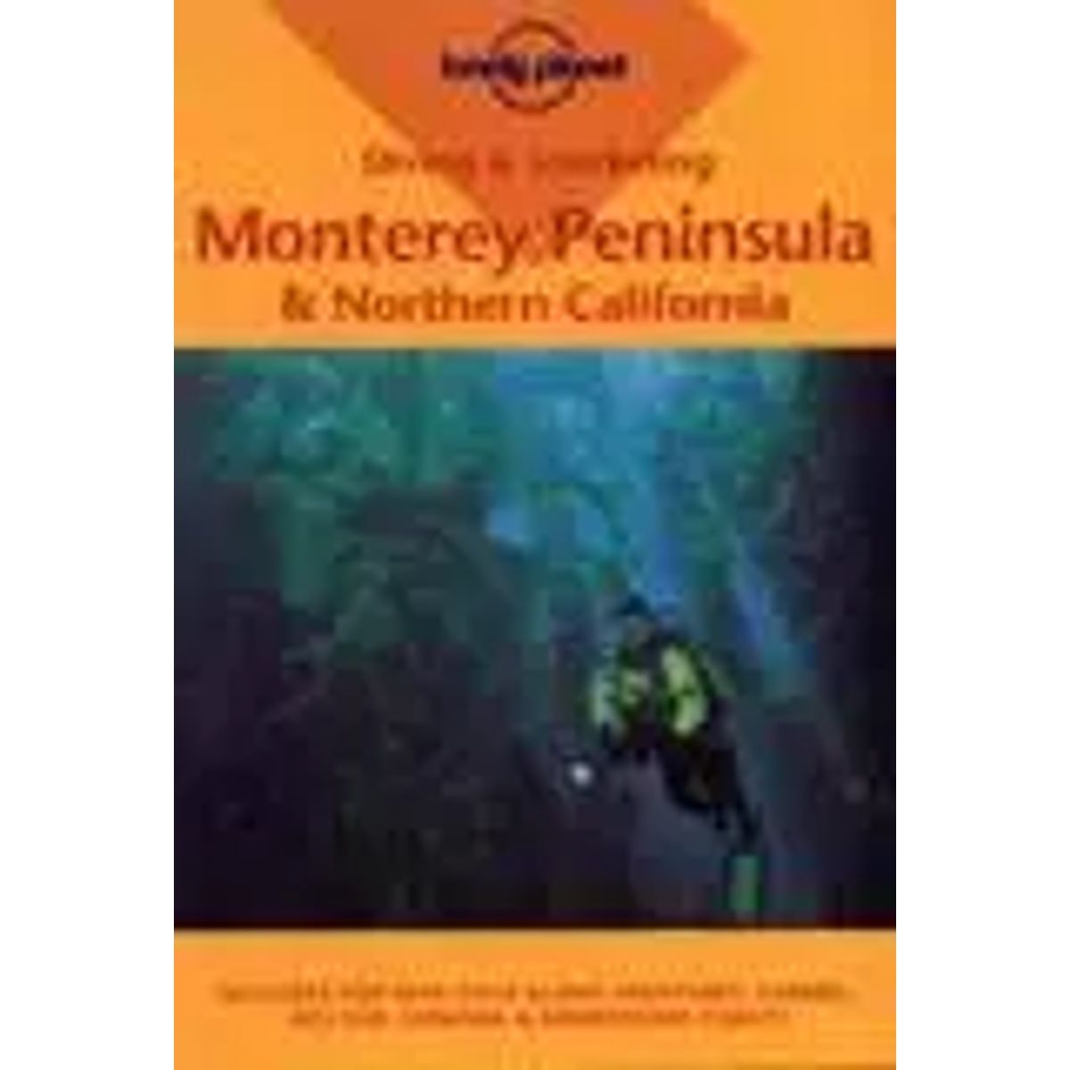 Monterey Peninsula & Northern California, Diving & Snorkeling