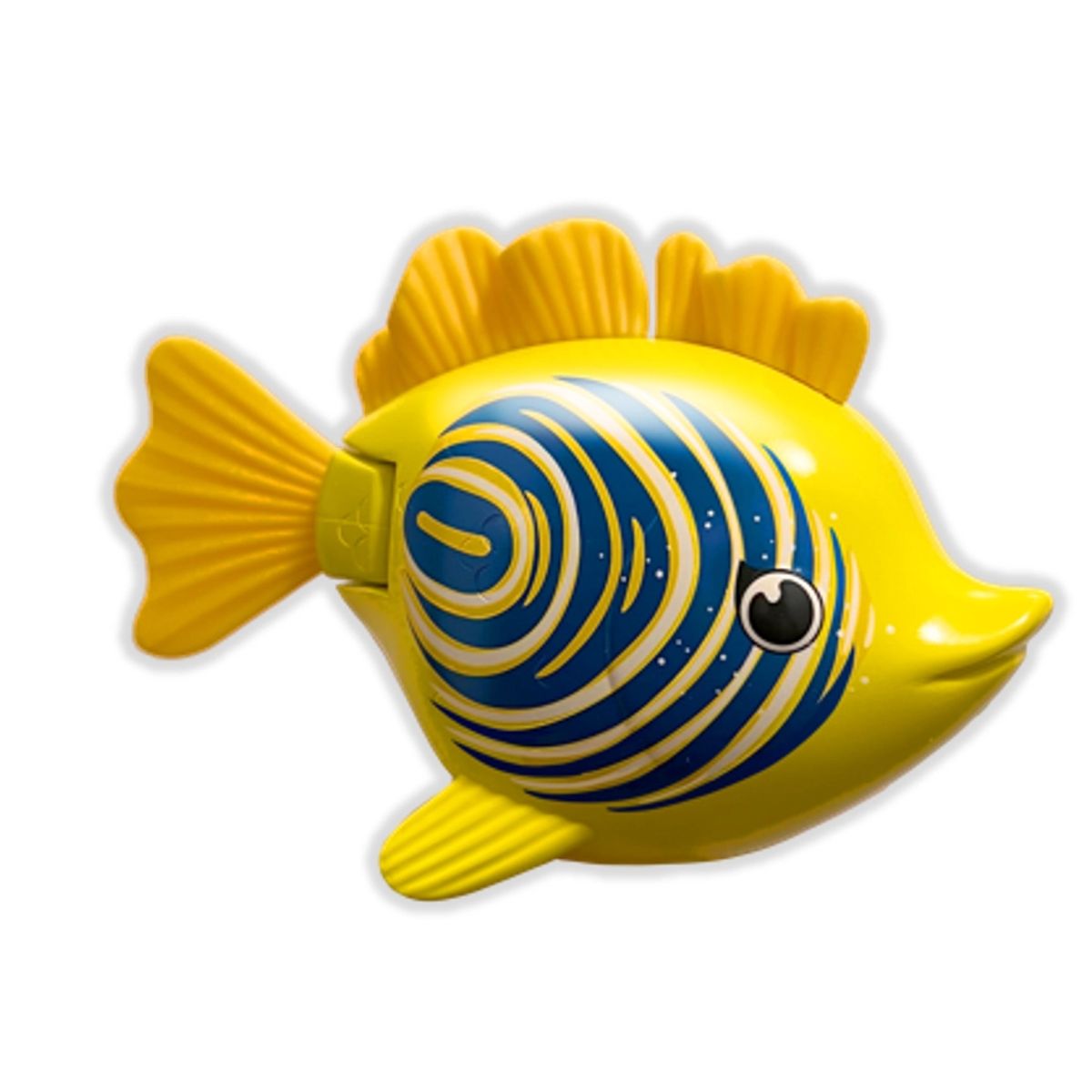 Rainbow Reef Fish - Zebrafisk