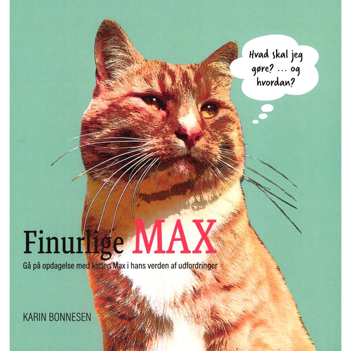 Finurlige MAX