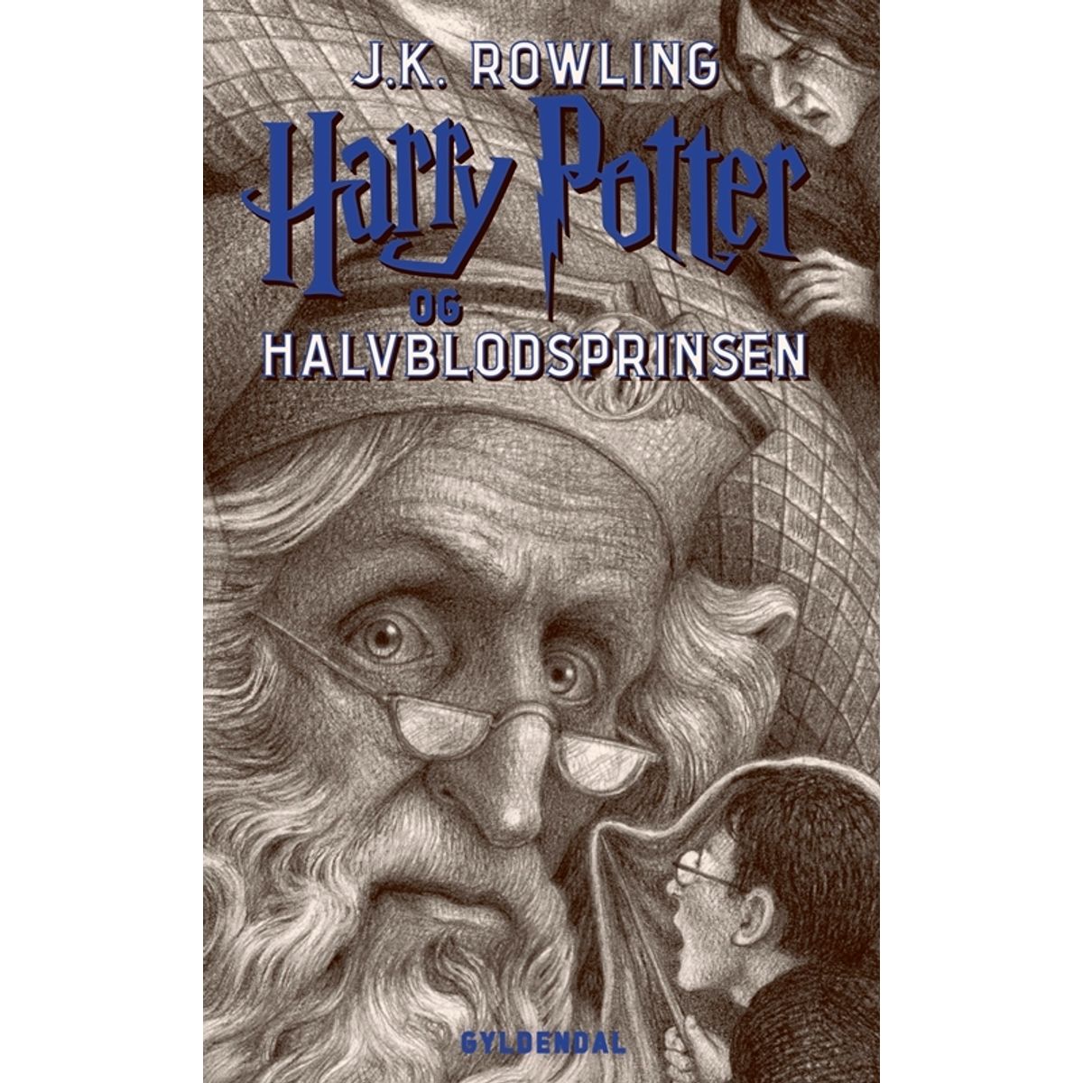 Harry Potter 6 - Harry Potter og Halvblodsprinsen