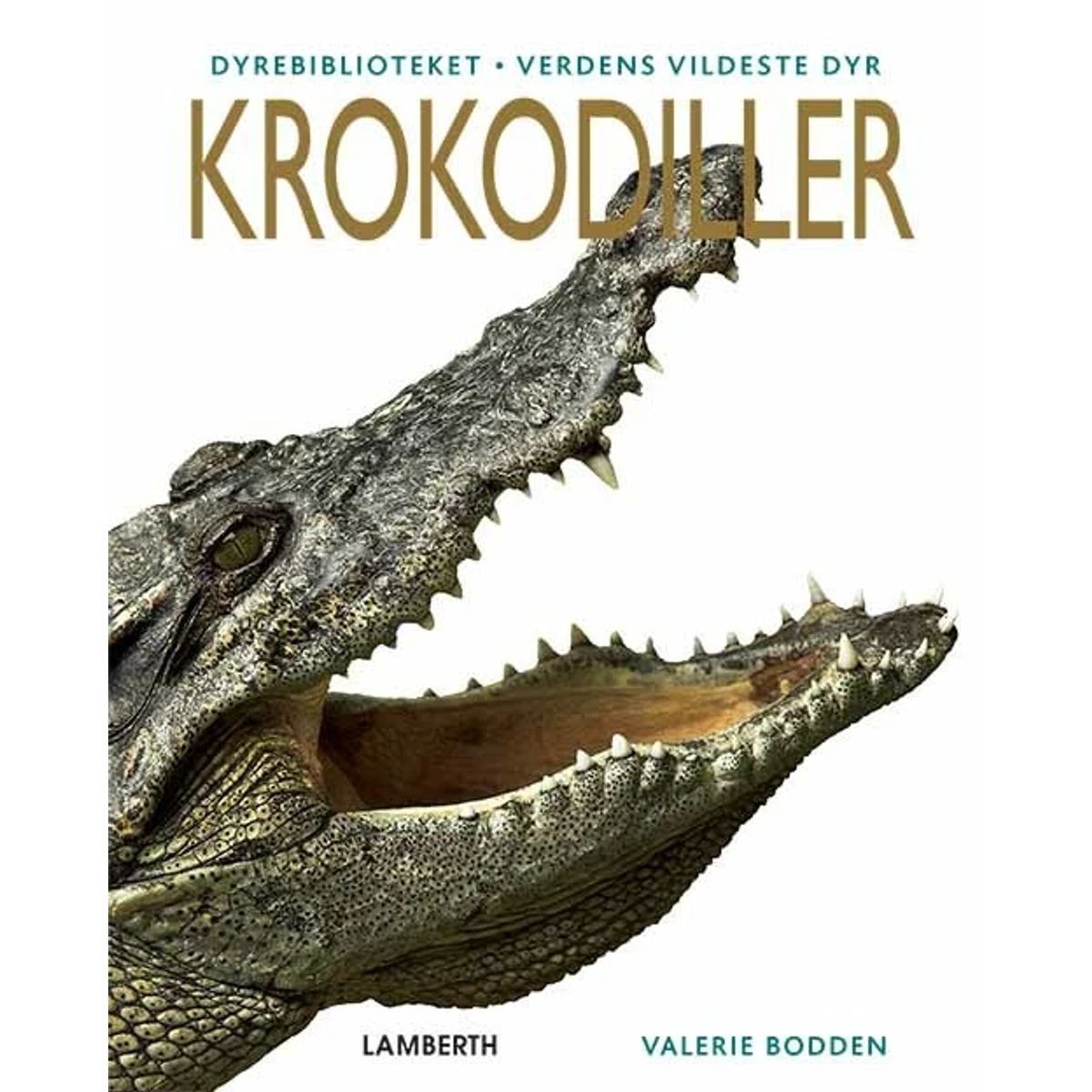 Krokodiller