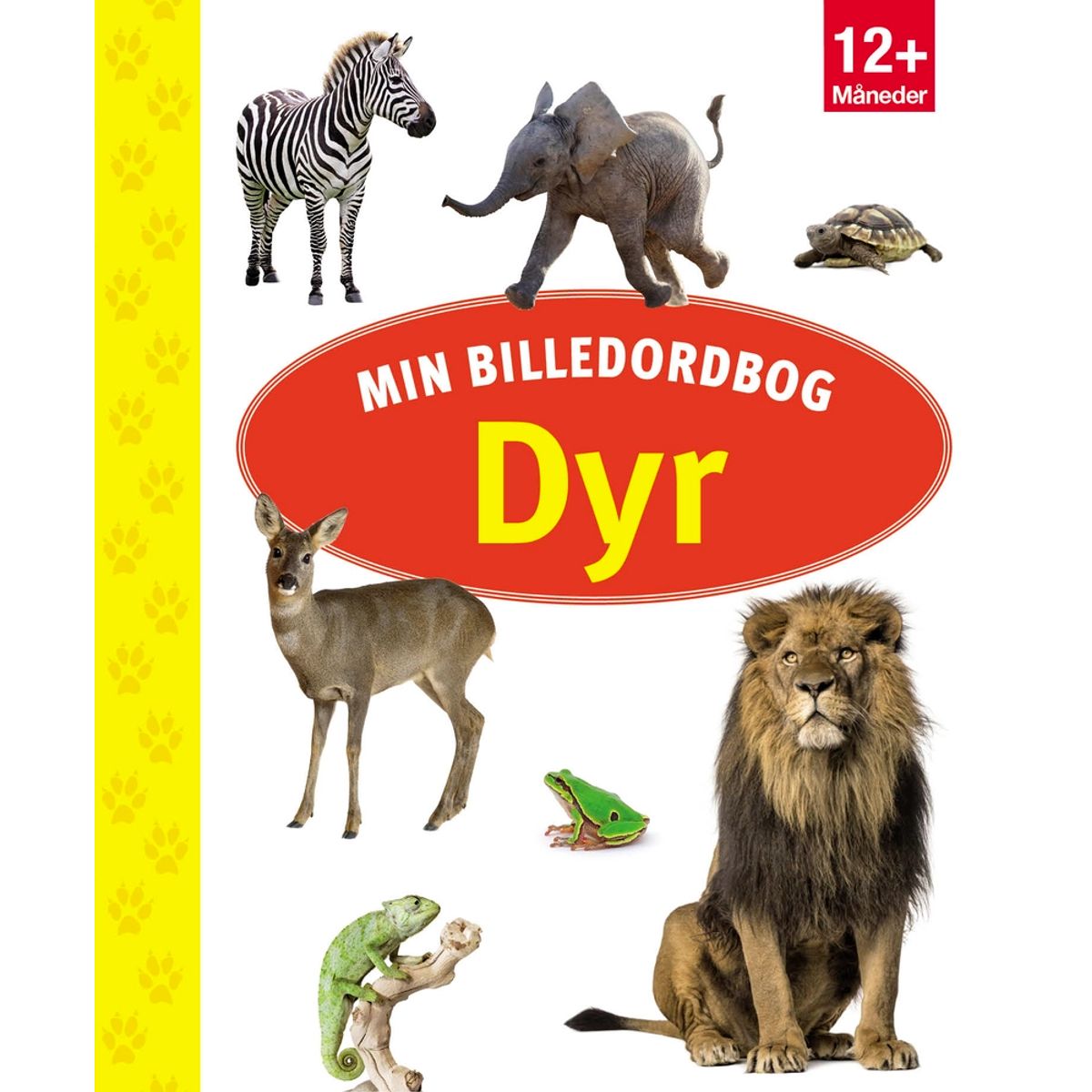 MIN BILLEDORDBOG - DYR