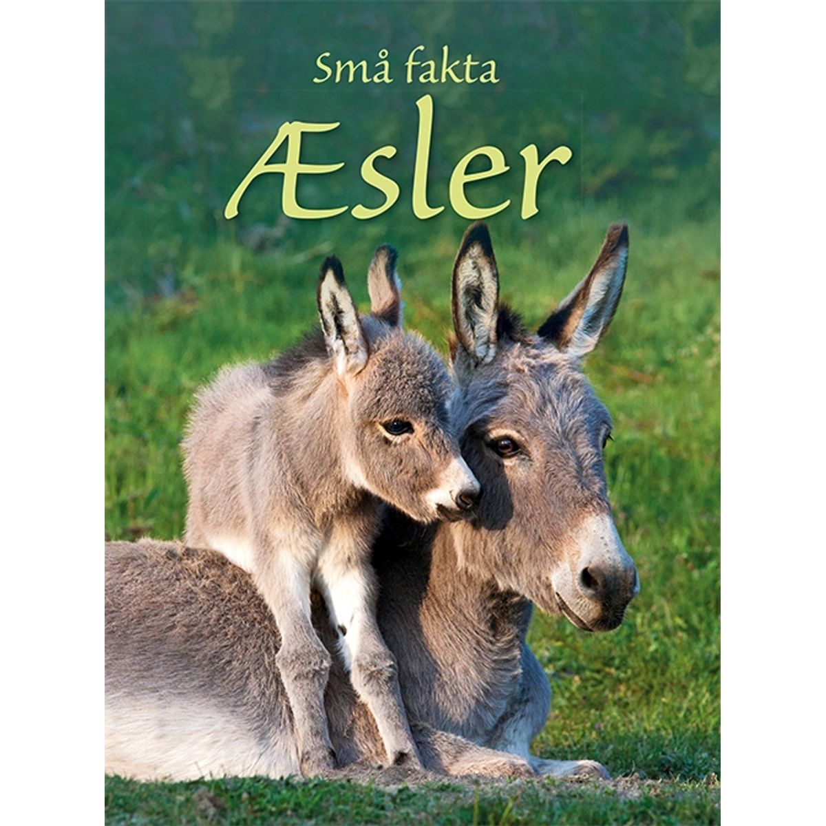 Små Fakta: Æsler