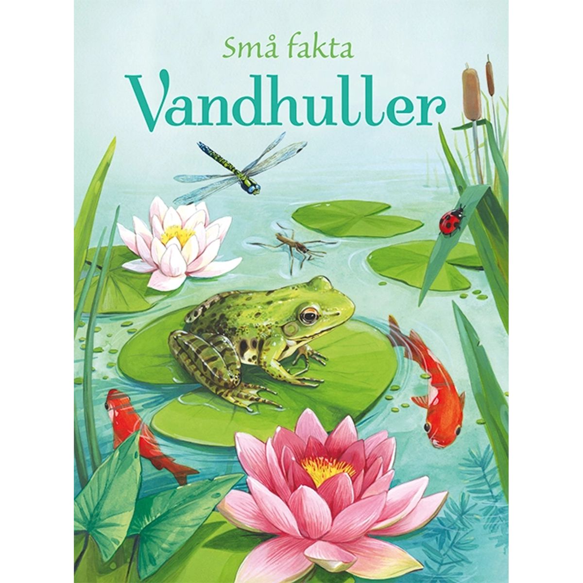 Små fakta: Vandhuller, BB