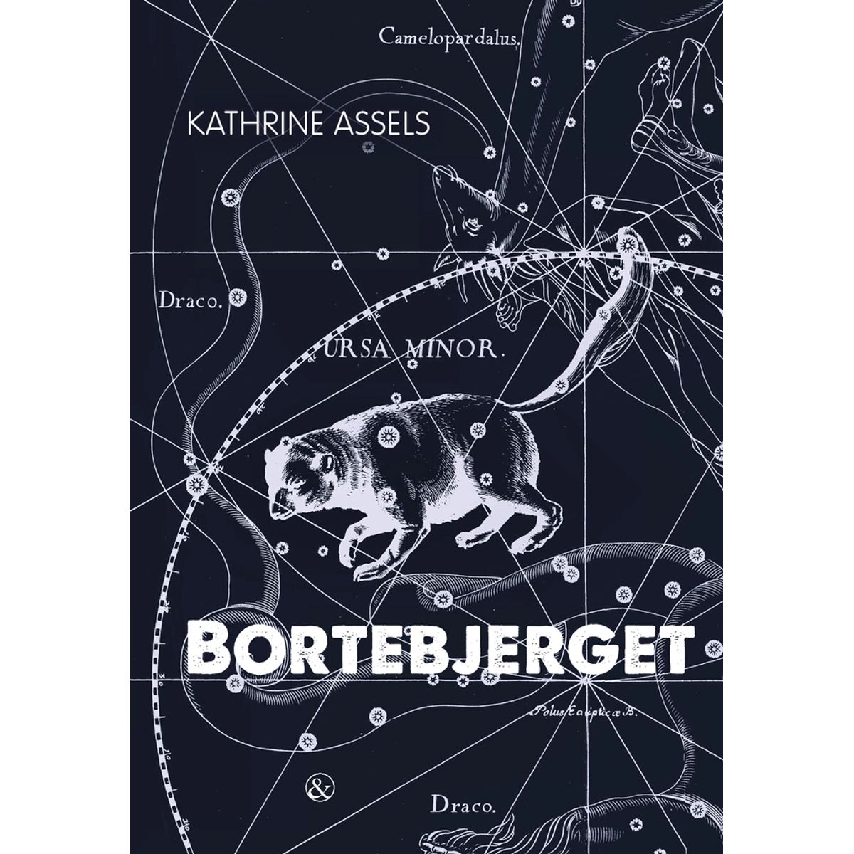 Bortebjerget