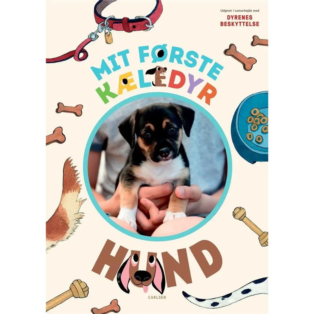 Mit første kæledyr - hund