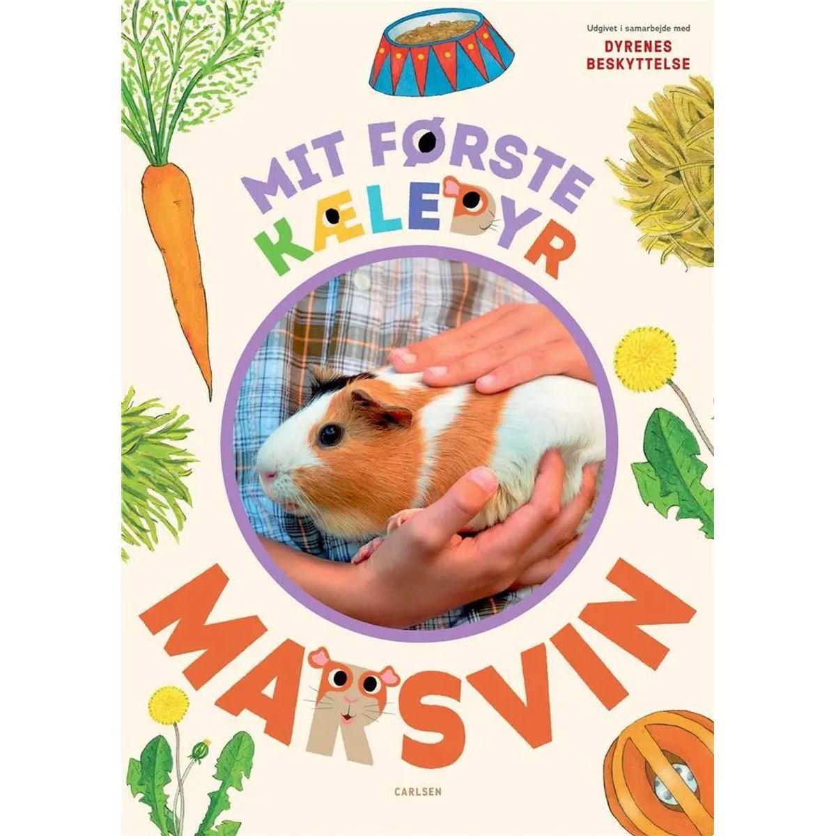 Mit første kæledyr - marsvin