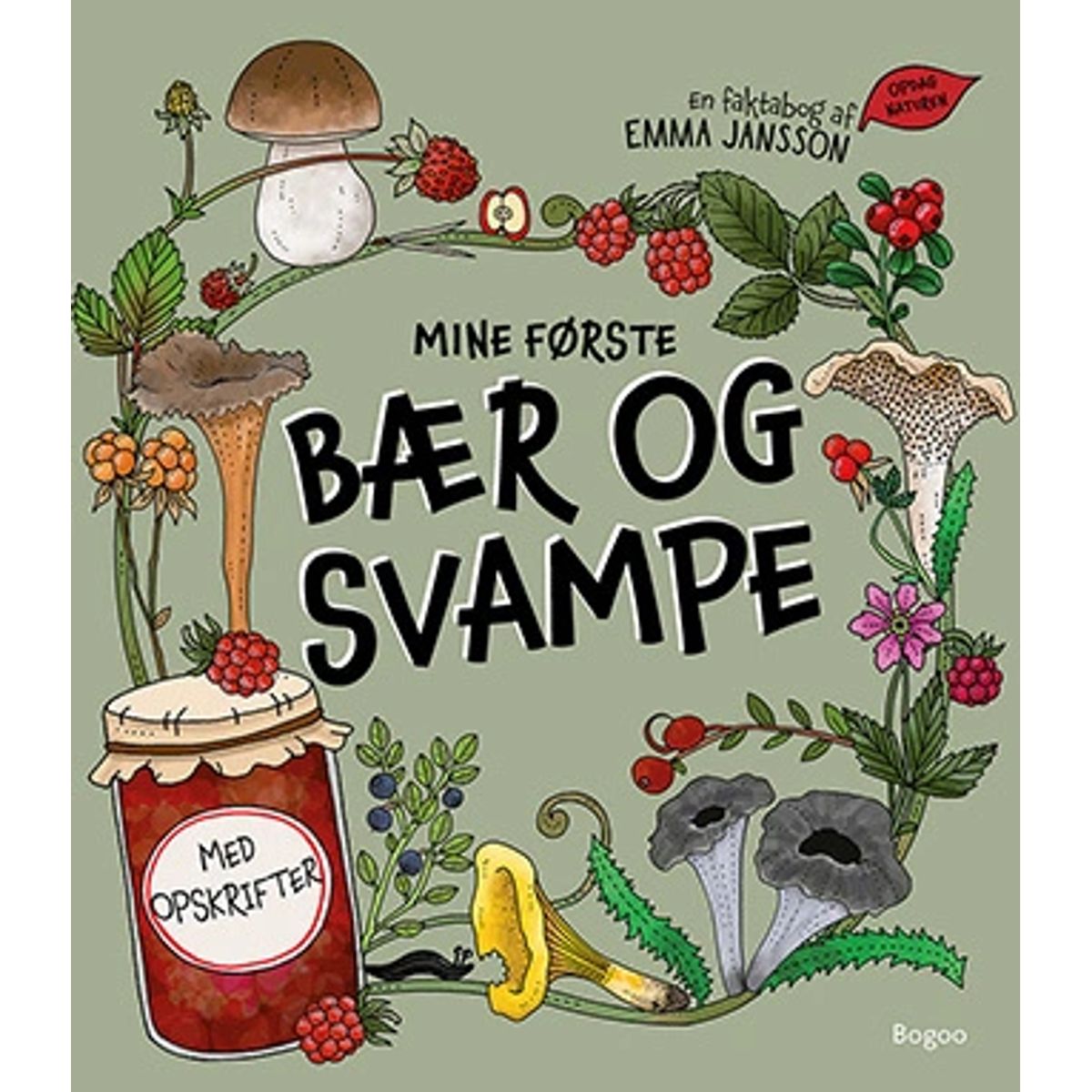 Mine første bær og svampe