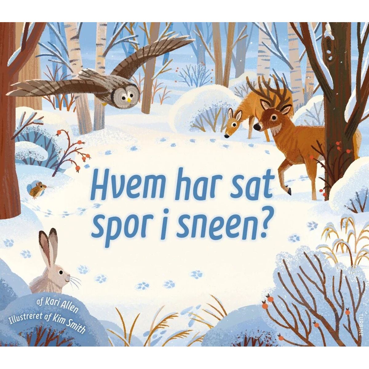 Hvem har sat spor i sneen?