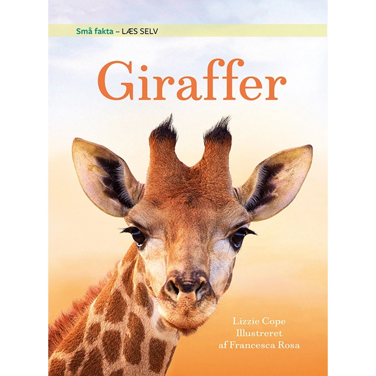 Små fakta: Giraffer