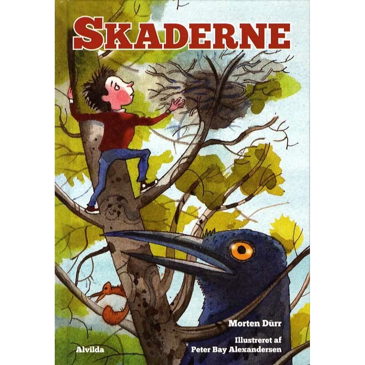 Skaderne