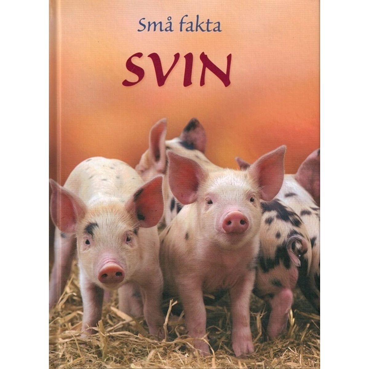 Små fakta: Svin