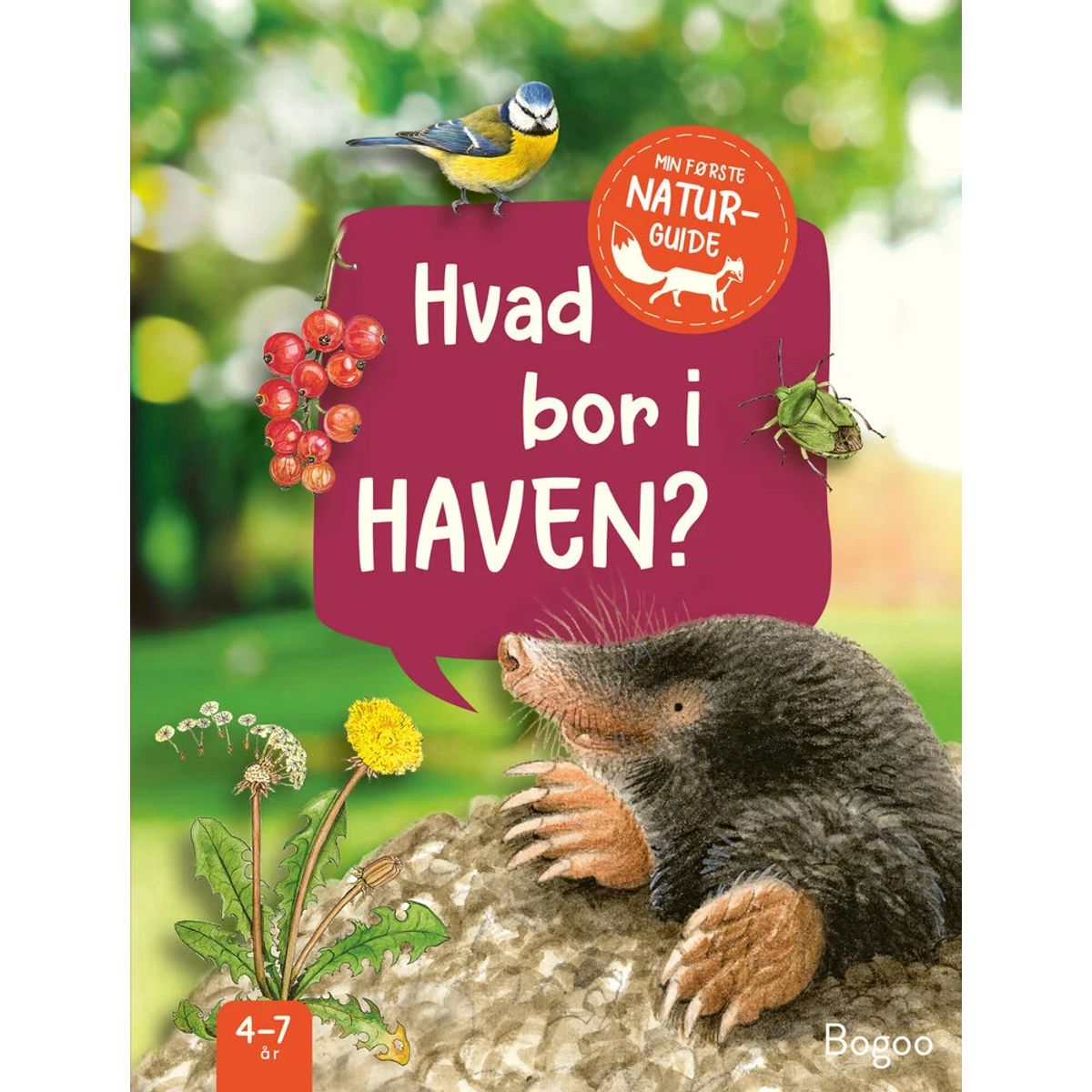 Hvad bor i haven?