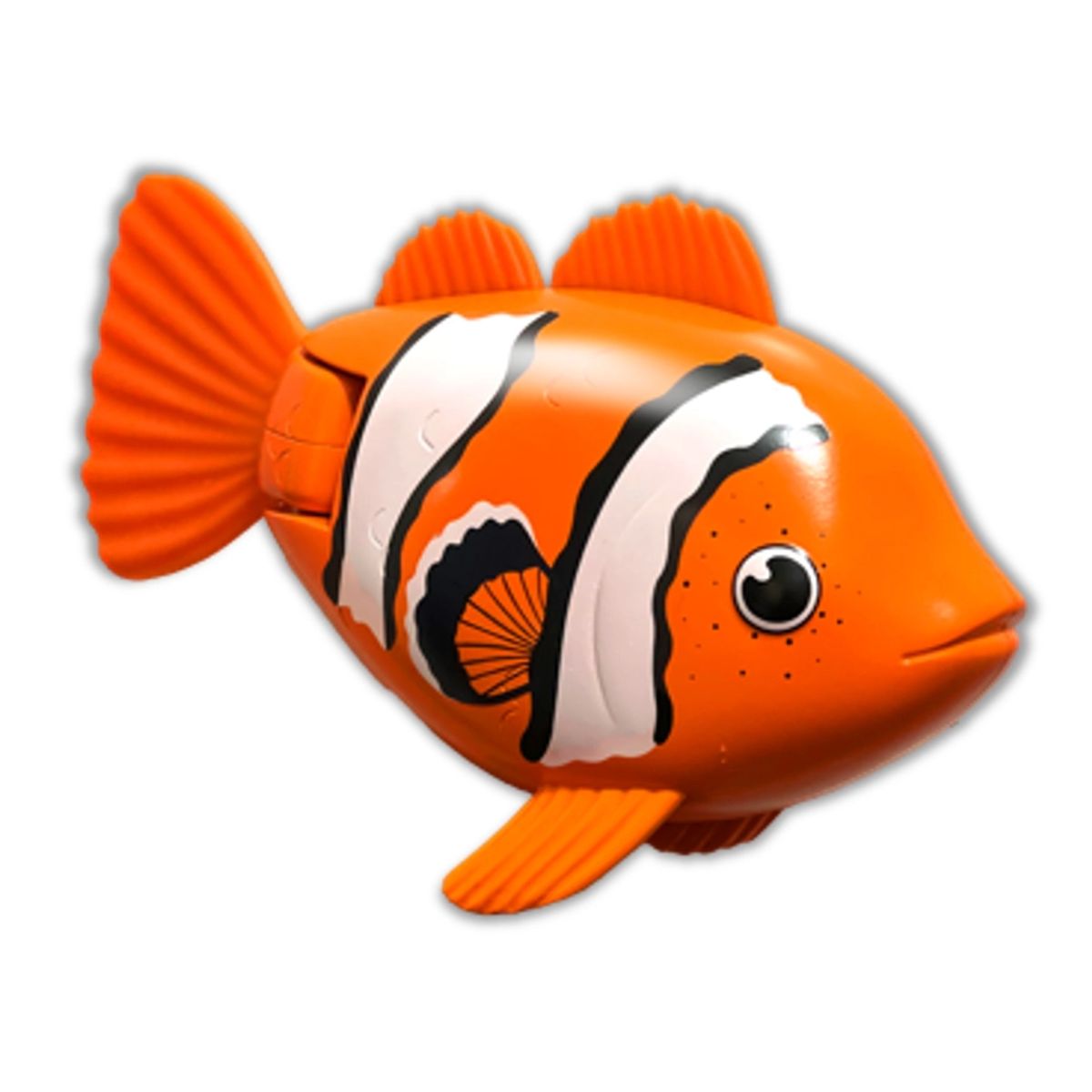 Rainbow Reef Fish - Klovnfisk