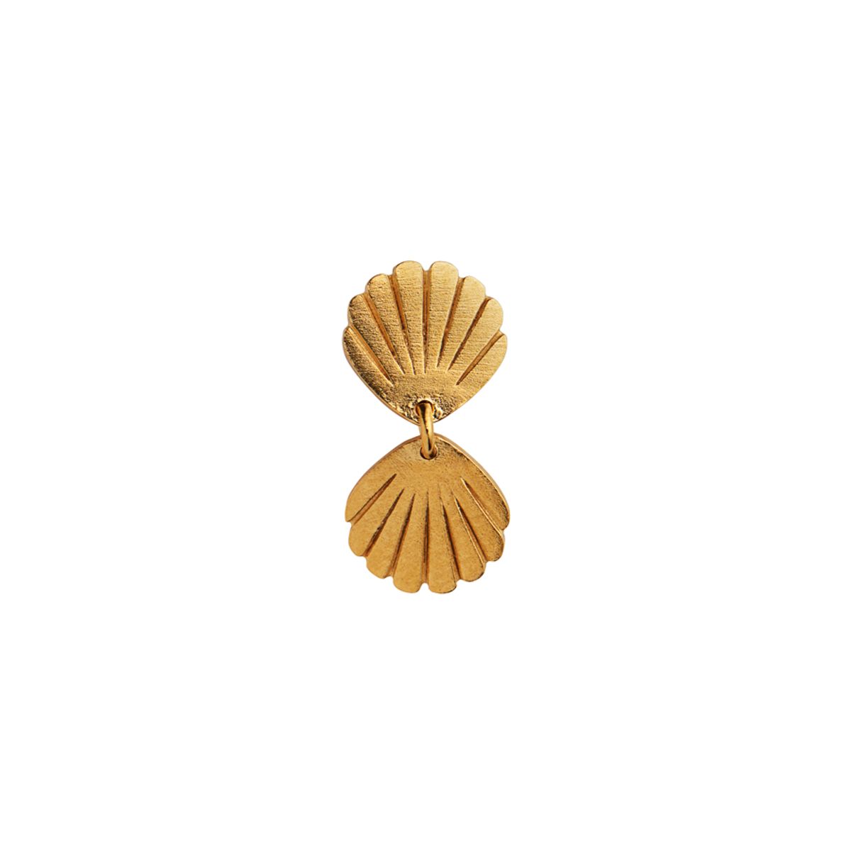 Two Petit Shell Earring