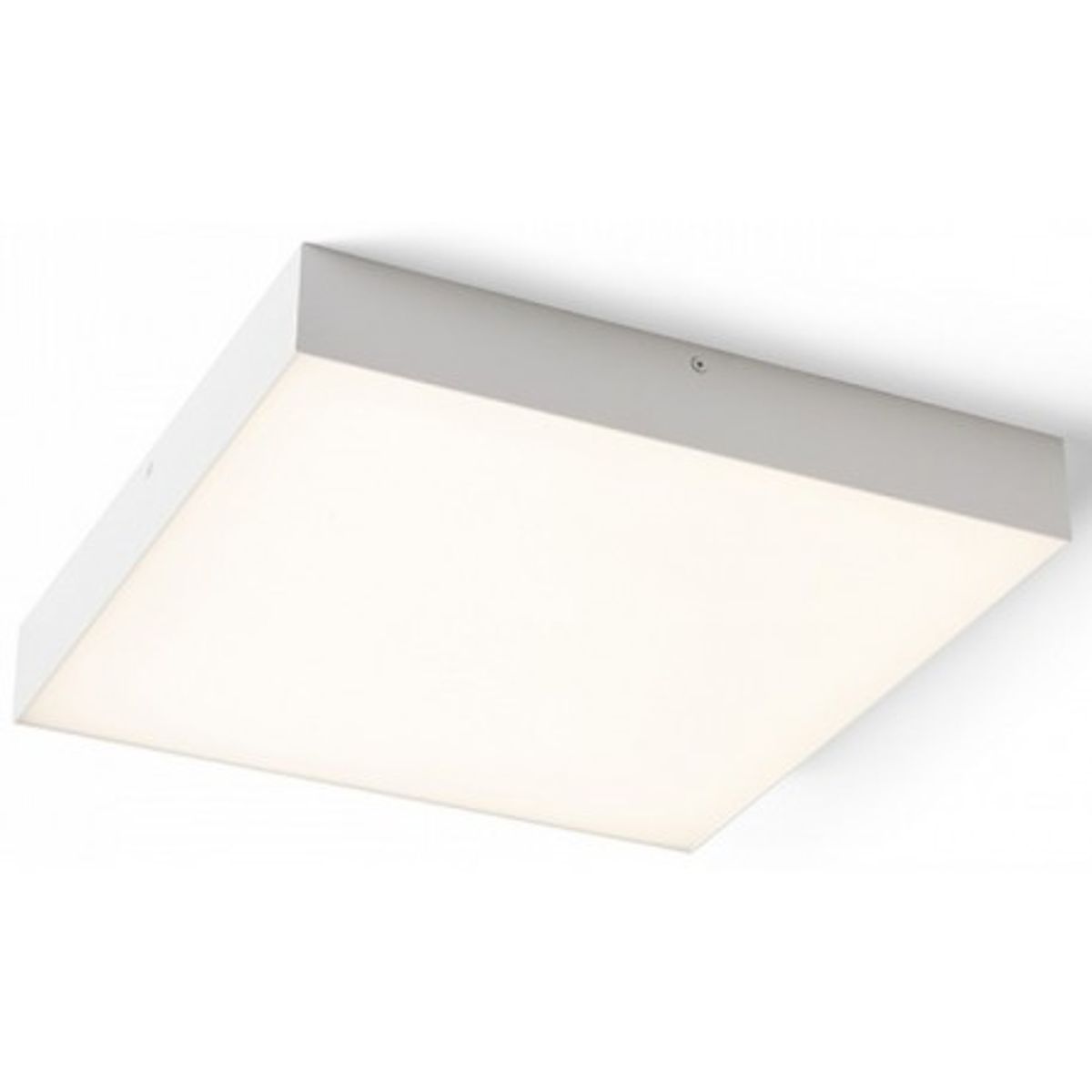 Larisa SQ Plafond 40 x 40 cm 50W LED - Hvid