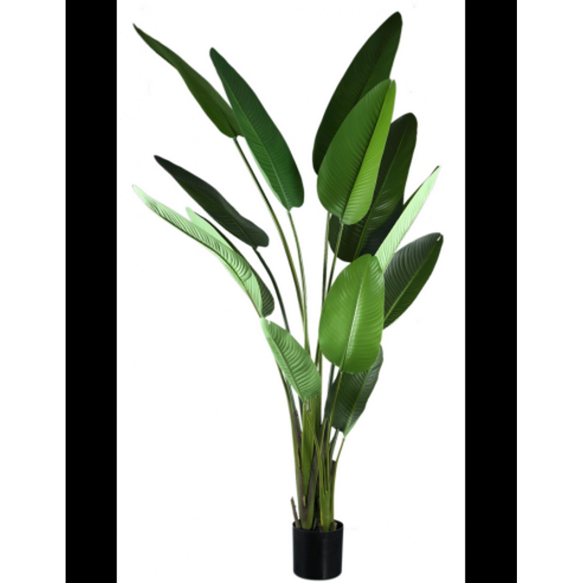 Kunstig strelitzia palme H310 cm - Grøn