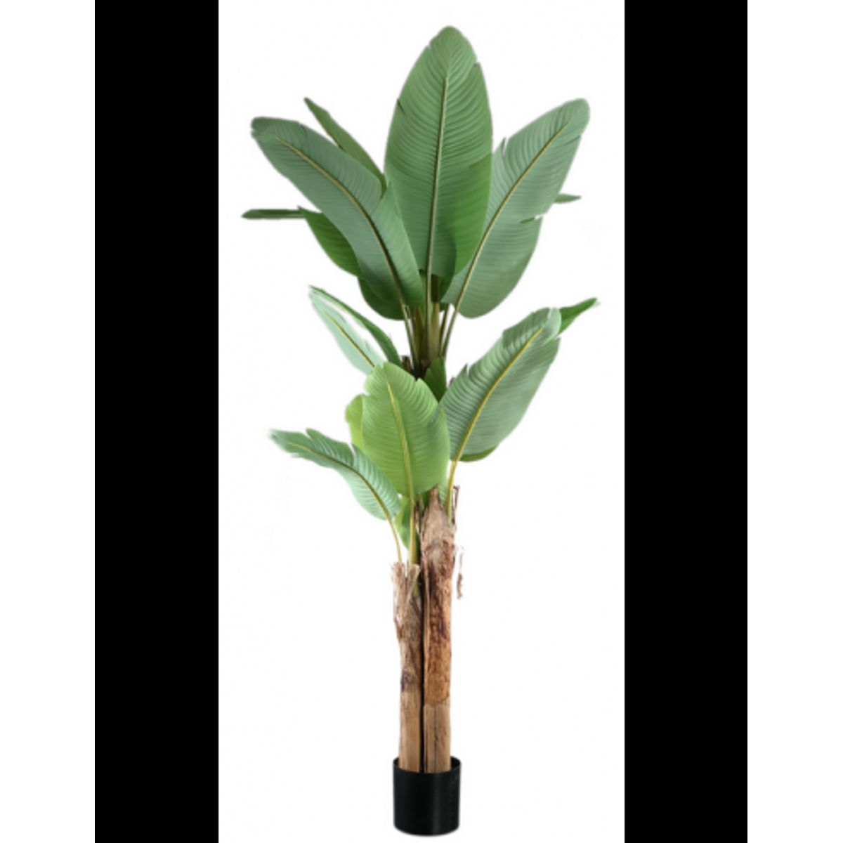 Kunstig banan palme H208 cm - Grøn