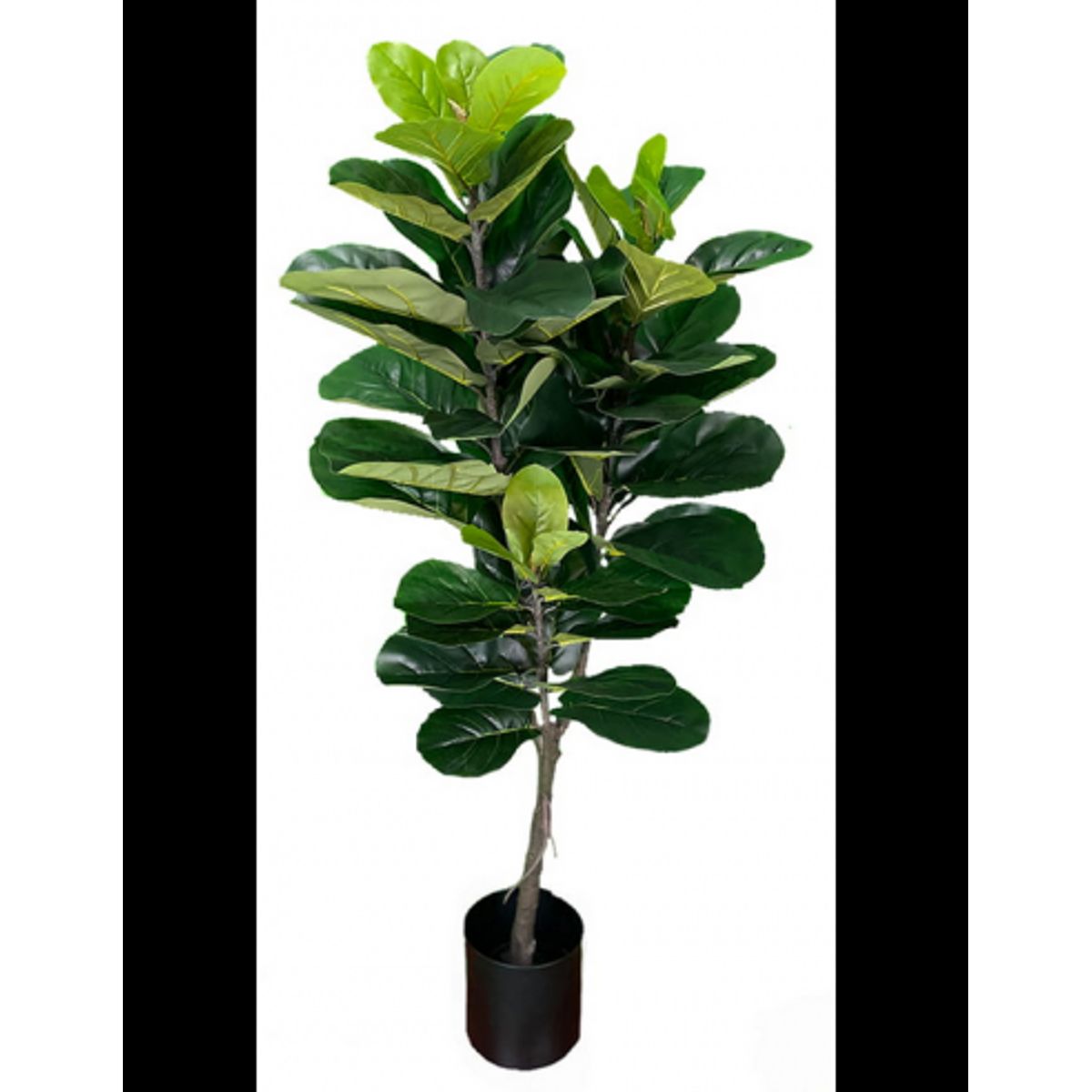 Kunstig Ficus plante H150 cm - Grøn