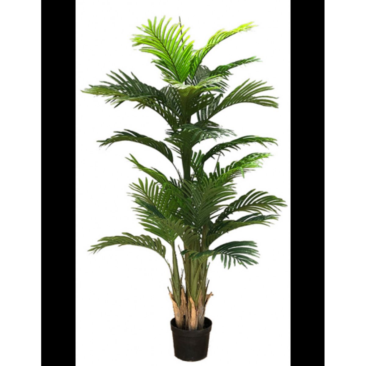 Kunstig Ravenea plante H180 cm - Grøn