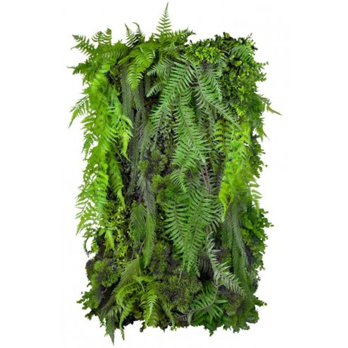 Fern Cascade Plantevæg med kunstige planter 100 x 50 cm